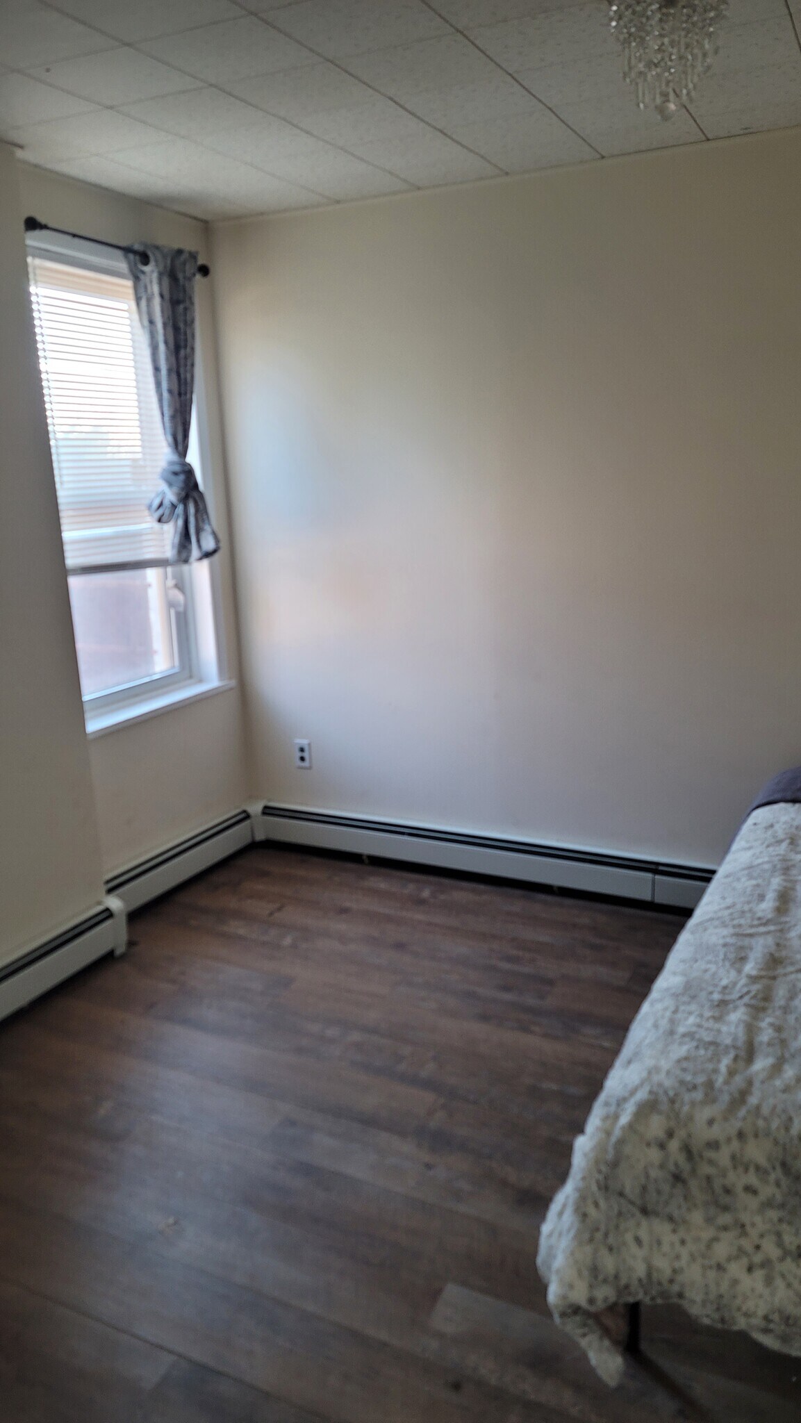 Building Photo - 351 Hamilton Ave