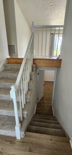 Front Entrance Stairs - 1704 Danbury Dr