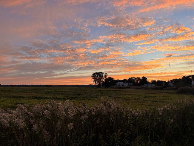 Sunset over Cur Meadow - 99 New York St