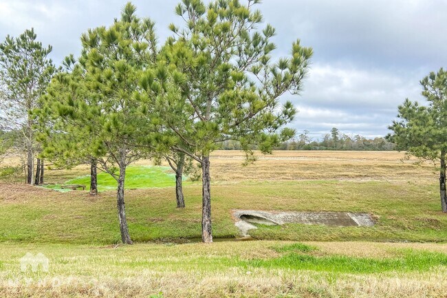Building Photo - 21602 Micheala Way