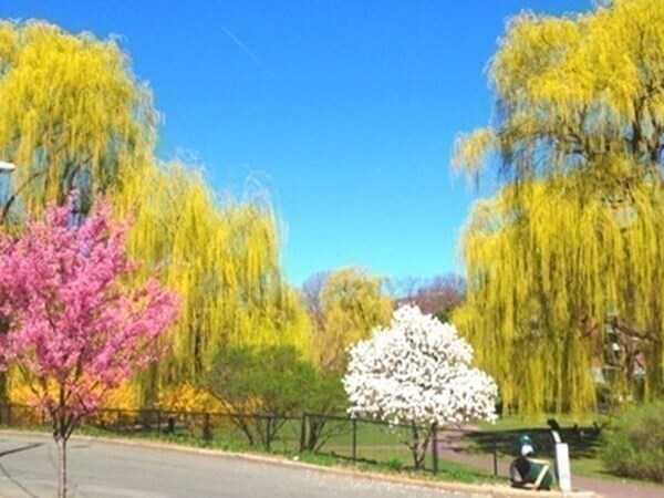 Building Photo - 100 Marion St