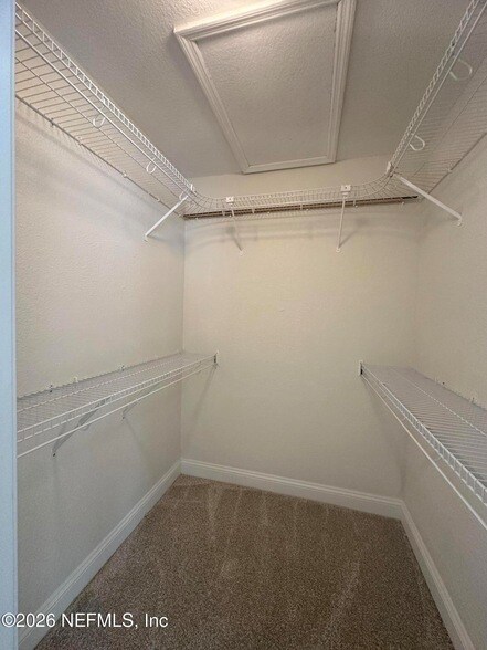 Building Photo - 935 Seashell Ln