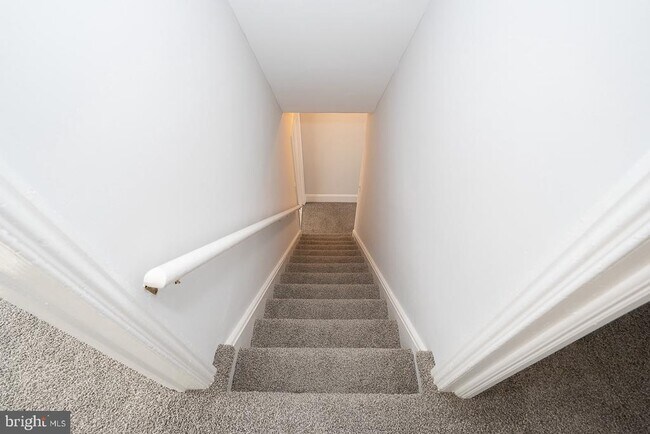 Building Photo - 217 Dupont St