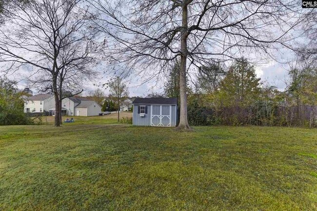 Building Photo - Chapin home with Community Pool