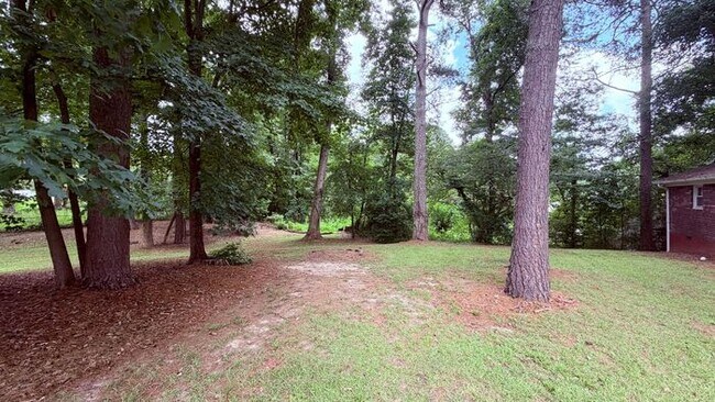 Building Photo - Lithia Springs 3 Bed-1 Bath Stepless Ranch, Private Lot, Carport