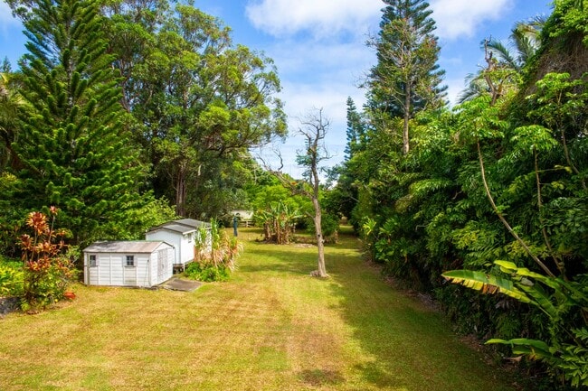 Building Photo - Spacious 4-Bedroom Retreat in Haiku with Stunning Natural Light