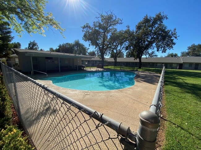 Building Photo - 3629 Bechelli Lane - 37