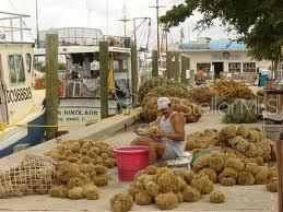 Building Photo - 1250 S Pinellas Ave