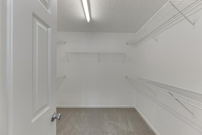 Building Photo - 2421 Elkhorn Ter