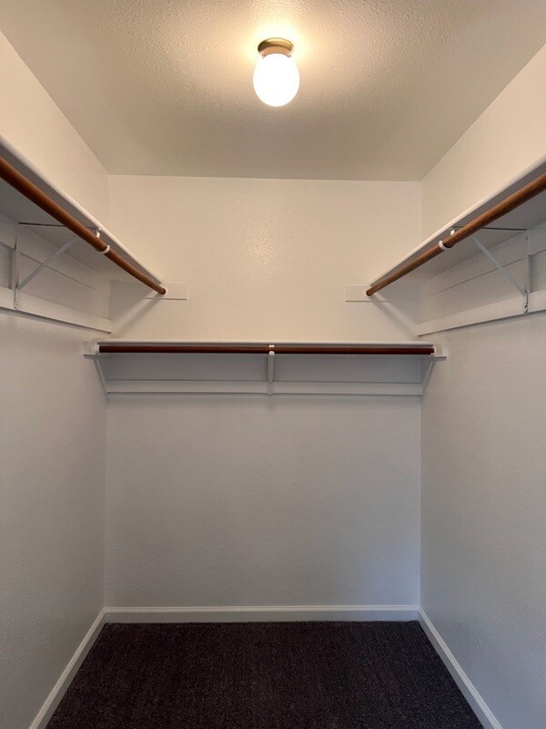 Building Photo - 1074 Plumwood Ct