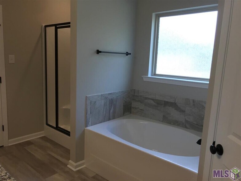 Garden tub & shower Master Bath - 742 Red Pine Dr