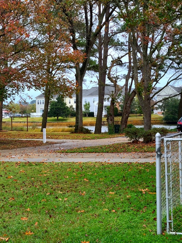 Building Photo - 8116 Tidal Rd