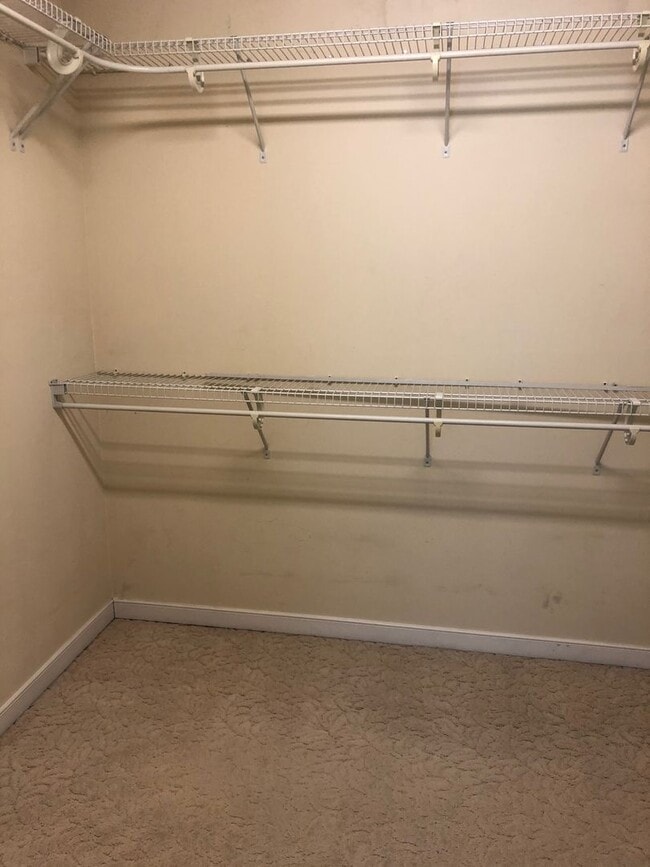 Building Photo - Stunning 4bdrm/2.5bth Home w/Loft Located in Chesterfield! Fenced in Backyard, 2 Car Garage, and ...