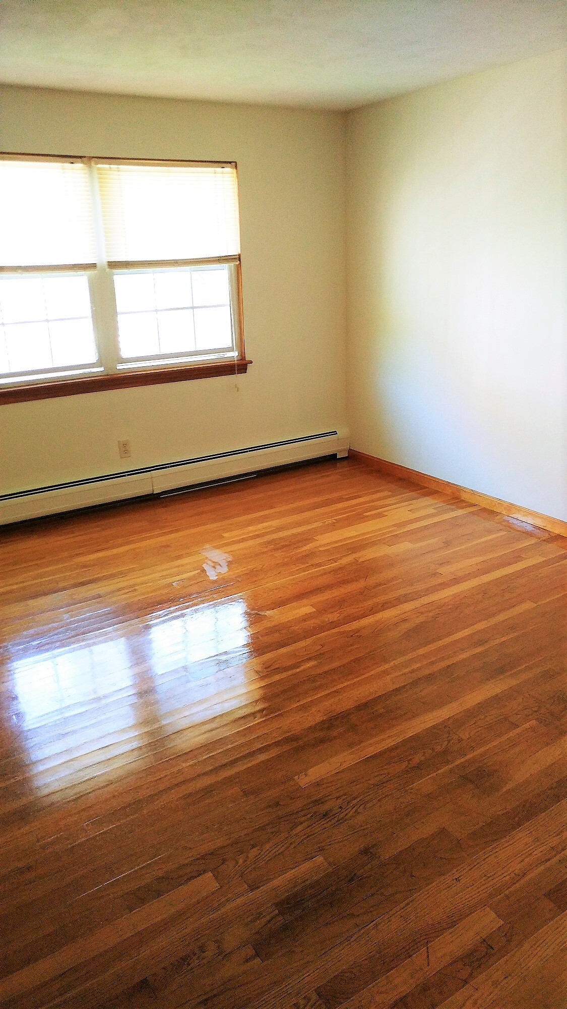 Building Photo - 128 Fayette St