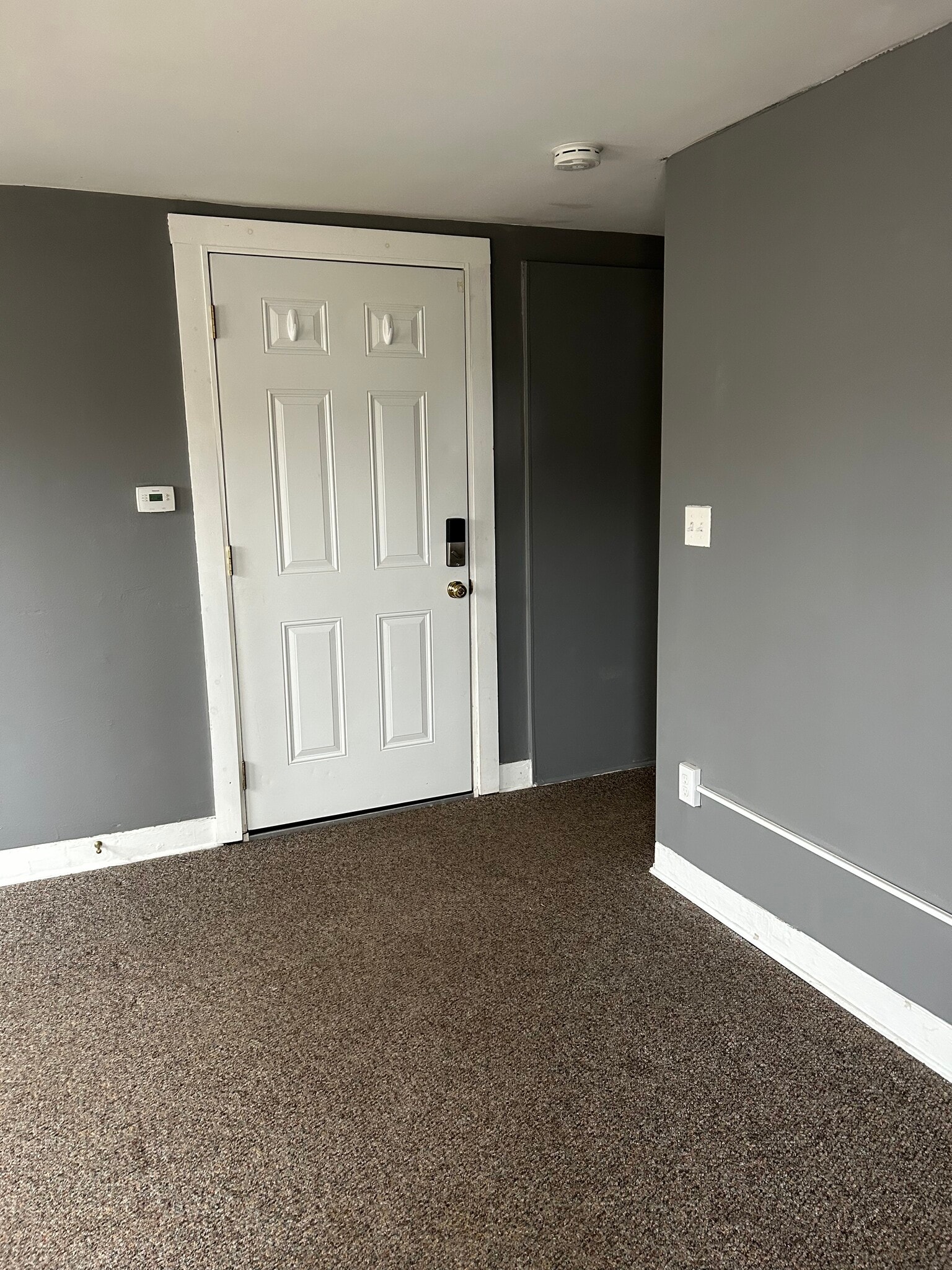 Entry door - 19 Warwick St