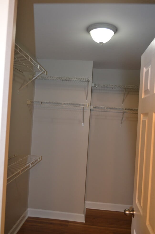 Building Photo - 1401 Peppermint Ln