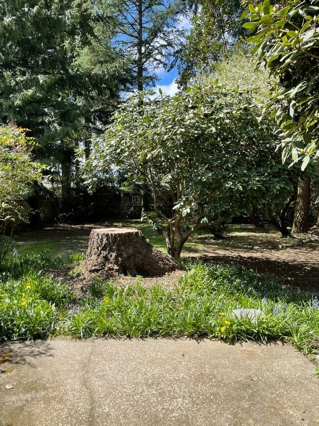 Building Photo - Nice Home with Large Backyard in Desirable...
