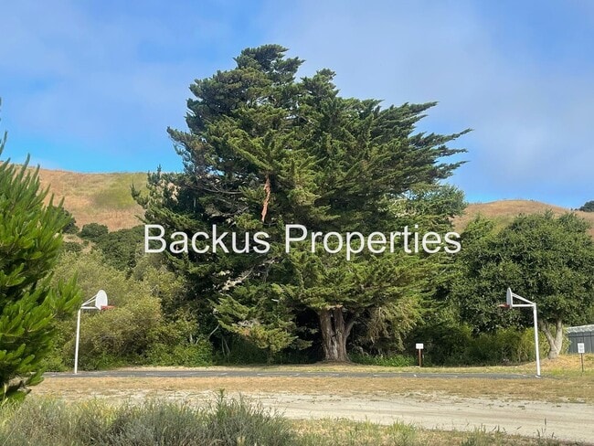 Building Photo - 19120 Creekside Pl