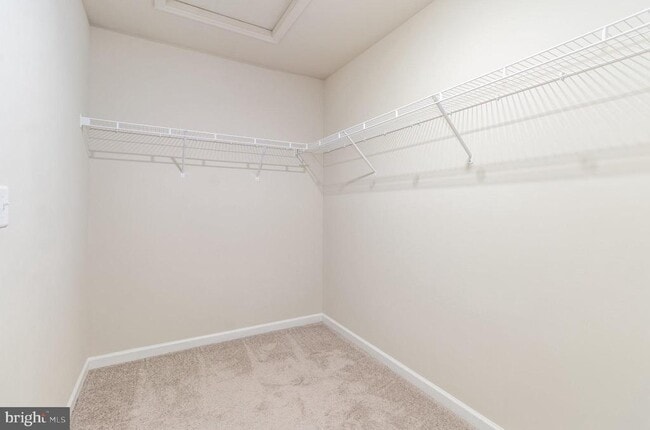 Building Photo - 1726 Bradley Dr