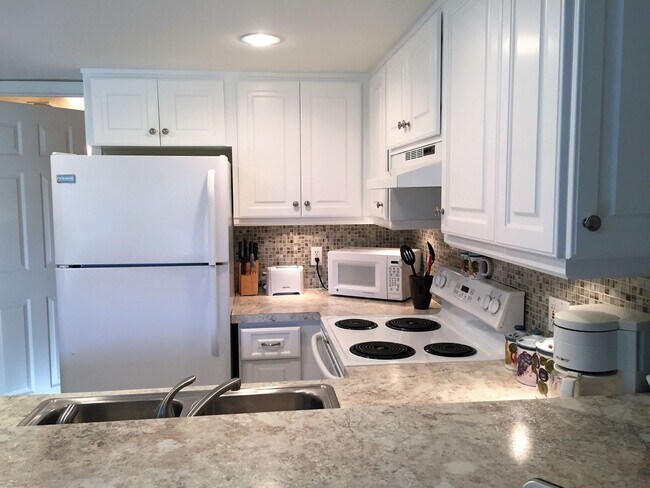 Building Photo - Fully Furnished, Turnkey 1BR/1BA Riverfron...