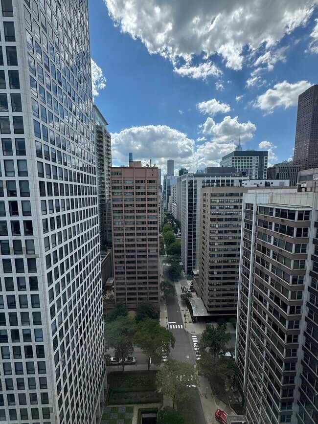 Building Photo - 253 E Delaware Pl