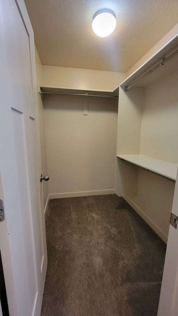 Building Photo - Dashing Edgewater Townhome