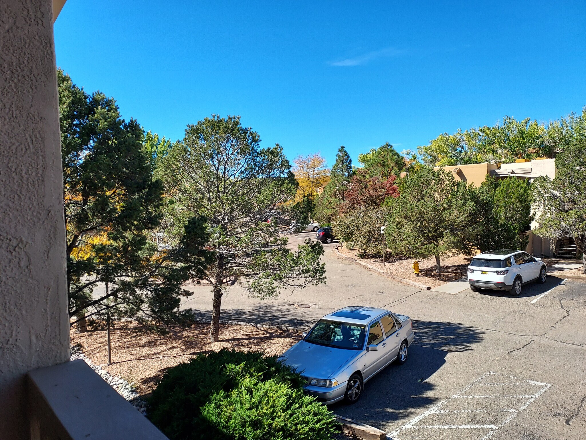 Building Photo - 941 Calle Mejia