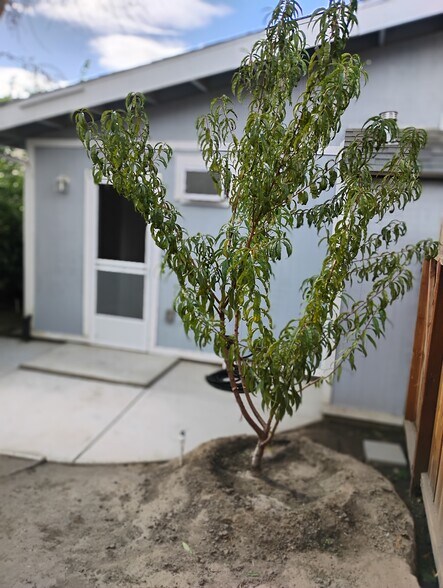 Building Photo - 3608 Balfour Ln