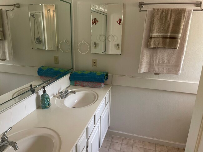 Master Bathroom double sinks and shower. - 2931 Valley Rose Dr