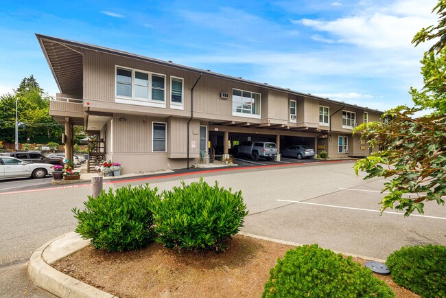 Building Photo - Top Floor Bellevue Square 1 Bedroom Condo