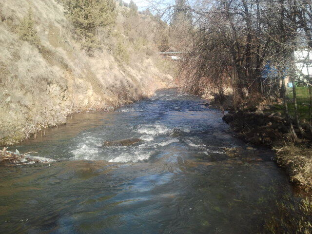 Canyon Creek on property - 755 SW Brent Dr