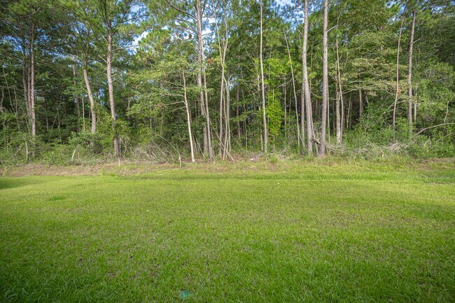 Building Photo - 3711 Olivia Dr