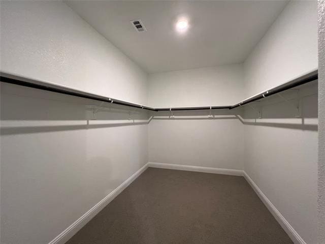 Building Photo - 2101 Sun Star Dr