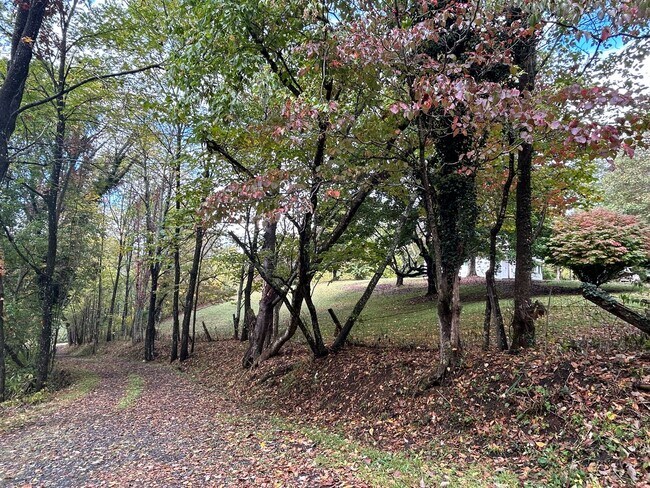 Building Photo - 4/2.5 in Beautiful Warrensville! Lots of S...