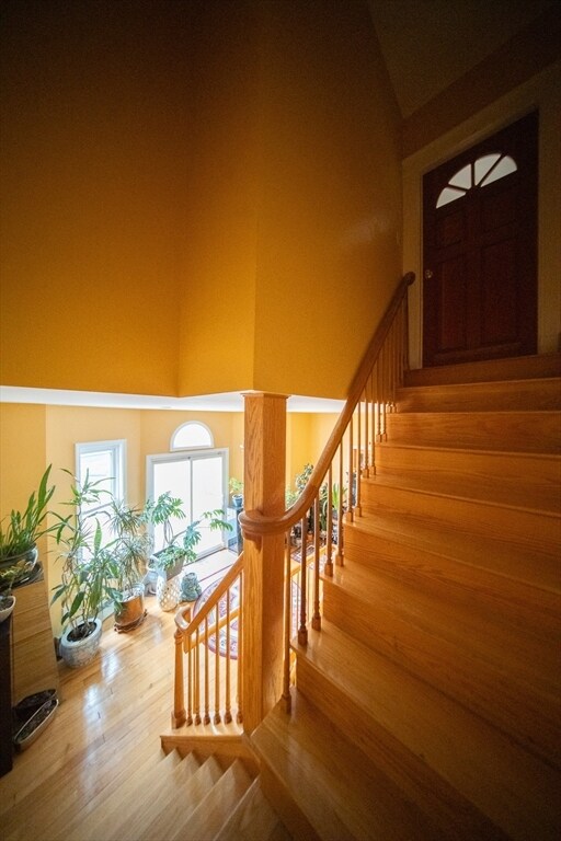 Building Photo - 208 Rawson Rd