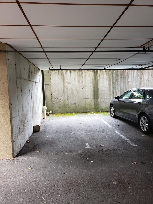 Parking space #1 - 295 W Wyoming Ave