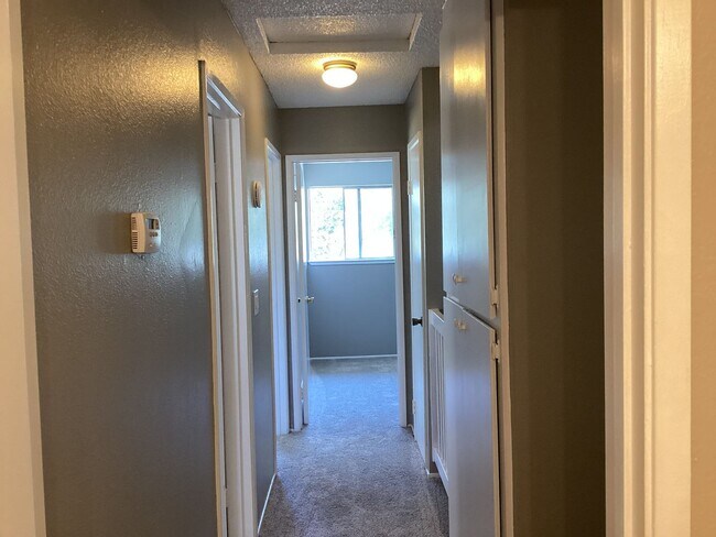 Building Photo - 4222 Topsail Ct