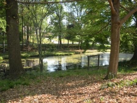 Building Photo - 395 Lofton Rd NW