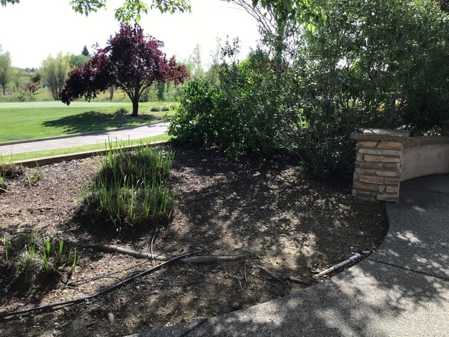 Building Photo - Sun City Lincoln, a 55+ Community- Coronado model. Three-bedroom, Three bathroom