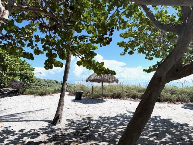 Building Photo - 1121 Crandon Blvd