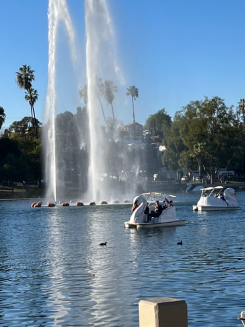 Building Photo - 1072 Laguna Ave