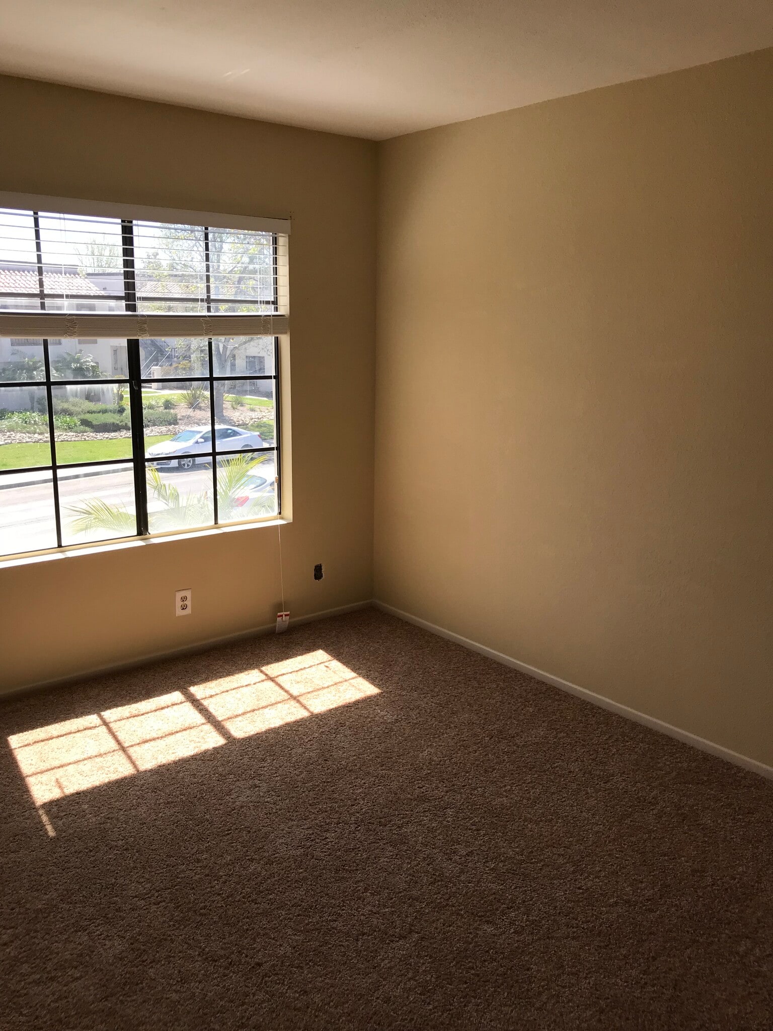 Building Photo - 10910 Summerdale Way