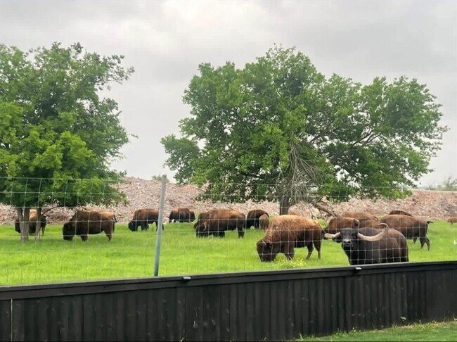 Building Photo - 11305 Sentinel Dr