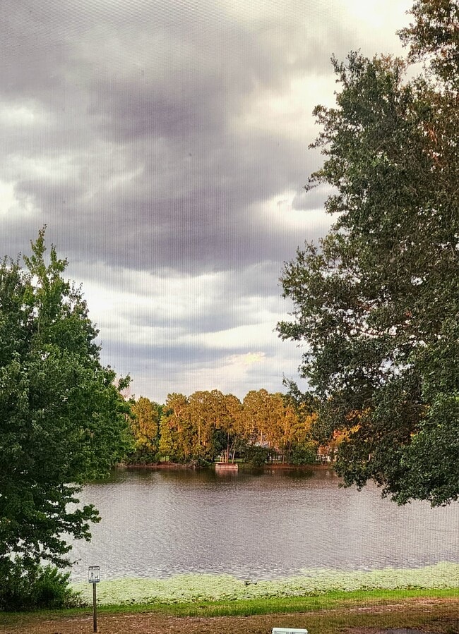 Building Photo - 23699 Bahama Point