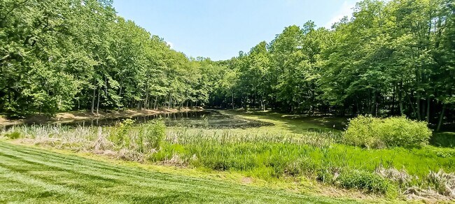 Building Photo - Oversized 4 Bedroom 3.5 Bathroom Home Situ...