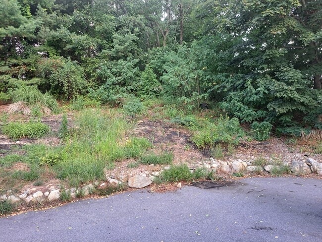 Building Photo - 1602 Mammoth Rd