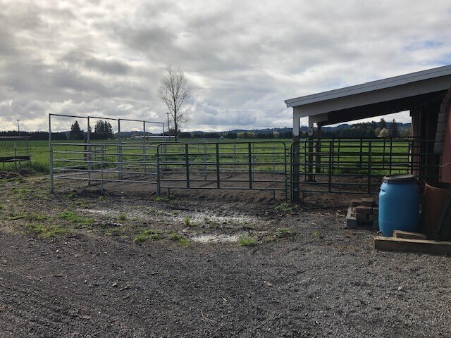 Building Photo - Newly Renovated 3 bed, 1.5 bath on Acreage...