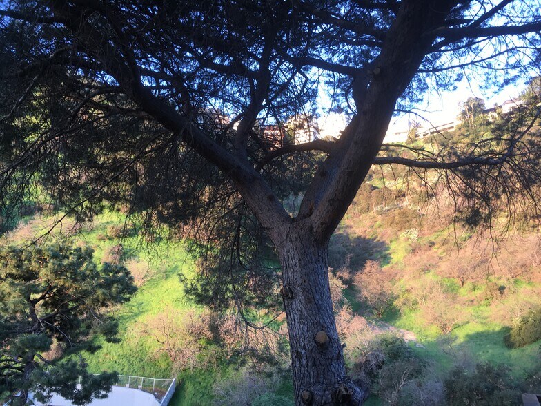 Building Photo - 2252 Laurel Canyon Blvd