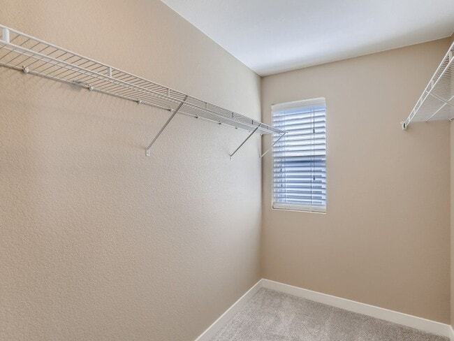 Building Photo - 10219 Tall Oaks Cir