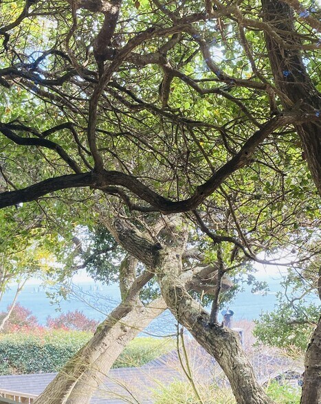 View from den - 626 Main St